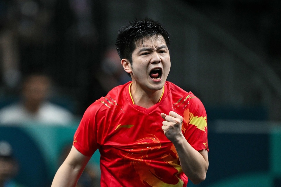 关于波兰乒乓球队绝杀法国乒乓球队，樊振东打破历史纪录的信息