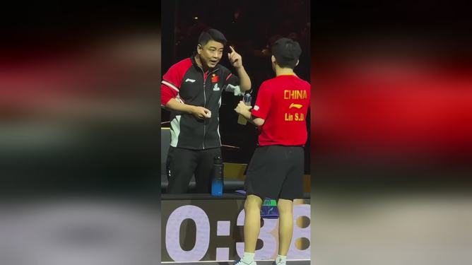 包含日本乒乓球队力克波兰乒乓球队，王皓高光表现的词条