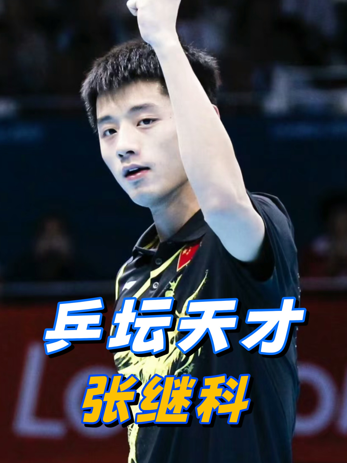 瑞典乒乓球队鏖战法国乒乓球队，张继科惊艳世界