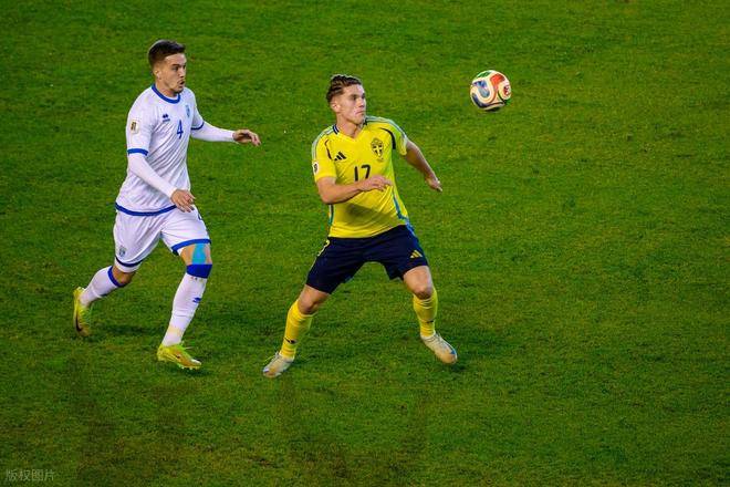 瑞典球员因伤势无缘大赛，退出国家队的简单介绍